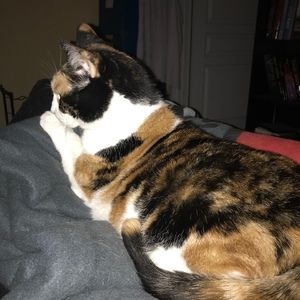 Meet your Posher, Geeta